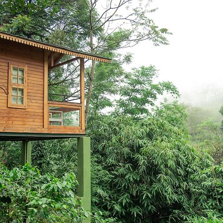 Misty Mountain Experience By Perfect Stays Pīrmed Eksteriør billede