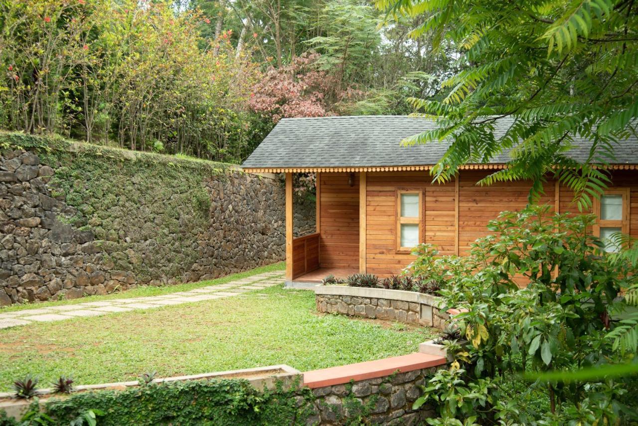Misty Mountain Experience By Perfect Stays Pīrmed Eksteriør billede