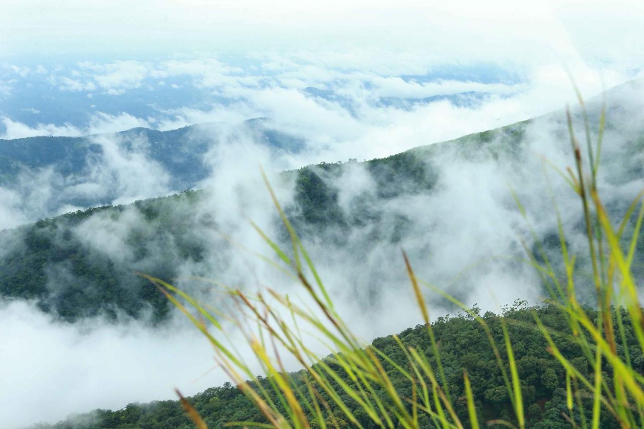 Misty Mountain Experience By Perfect Stays Pīrmed Eksteriør billede